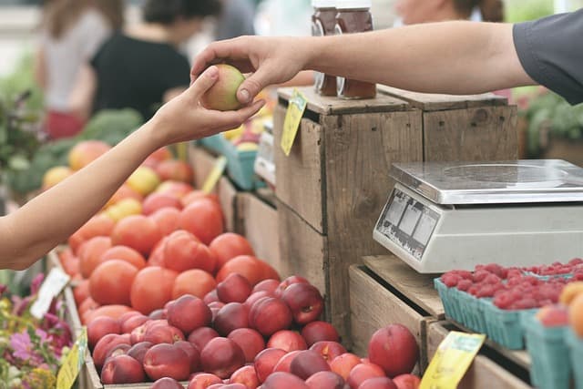 holding an apple